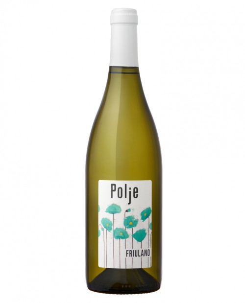 Friulano Doc Collio